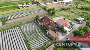 Gambar 3 Rumah Elegan Dan Nyaman Dengan Teras Joglo Di Bokoharjo Kalasan