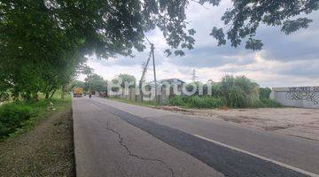 Gambar 2 Dijual Tanah di Karawang Harga Per meter Yg sdh urug dan pagar Rp 2 jt/Meter  Yg sawah Rp 1 jt /Meter Total 52 M Nego