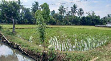 Gambar 2 Dijual Sawah di Desa Nagrak Tanpa Perantara 