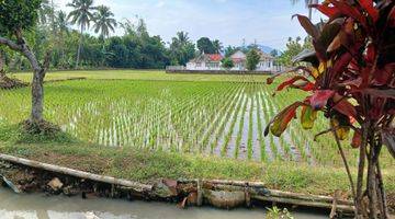 Gambar 3 Dijual Sawah di Desa Nagrak Tanpa Perantara 