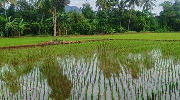 Gambar 1 Dijual Sawah di Desa Nagrak Tanpa Perantara 