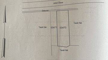 Gambar 4 Dijual Tanah Luas Di Raya Balongpanggang Gresik