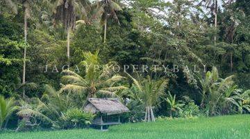 Gambar 2 Dijual Tanah Kavling Lokasi Ubud