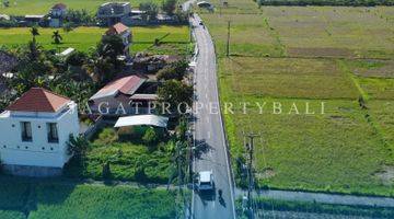 Gambar 3 Dijual Tanah Lokasi Ubud