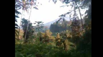 Gambar 4 Land for Sale close to Sidemen Traditional Village Bali