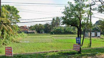 Gambar 5 Dijual Tanah di pinggir Jln Bay Pas IB Mantra Lebih Gianyar Bali Tanah 34 SHM are