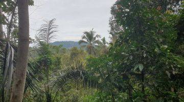 Gambar 1 Land for Sale 

Location close to Sidemen Traditional Village Bali Tanah 35 SHM are