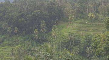 Gambar 1 Land For Sale Close To Sidemen Traditional Village Bali Tanah 8,5 Shm Are