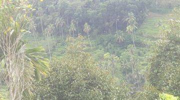 Gambar 5 Land For Sale Close To Sidemen Traditional Village Bali Tanah 8,5 Shm Are