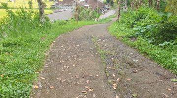 Gambar 4 Land for Sale 

Location close to Sidemen Traditional Village Bali