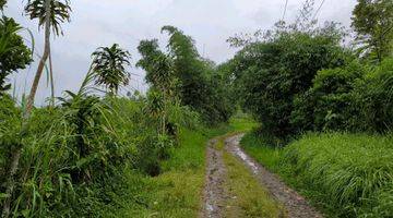 Gambar 4 Tanah Pemandangan Bagus, Dekat Kota Bogor