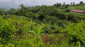 Gambar 3 Tanah Pemandangan Bagus, Dekat Kota Bogor