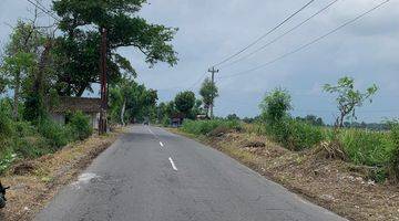 Gambar 1 Sawah Strategis Pinggir Jalan Raya