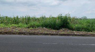 Gambar 2 Sawah Strategis Pinggir Jalan Raya