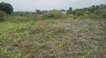 Gambar 2 Dijual Sawah Raya Lakarsatri Sby 