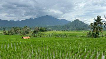 Gambar 3 Di Jual Cepat Sawah Murah Pinggir Jalan Dekat Kramat Jati Jakarta