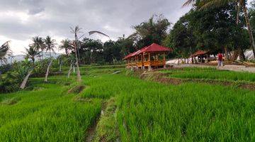 Gambar 1 Di Jual Cepat Sawah Murah Pinggir Jalan Dekat Kramat Jati Jakarta