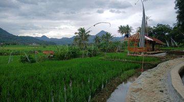 Gambar 4 Di Jual Cepat Sawah Murah Pinggir Jalan Dekat Kramat Jati Jakarta