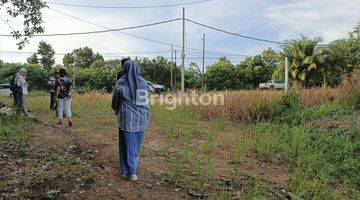 Gambar 1 Tanah 1 ha kariangau