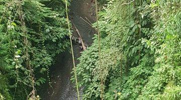 Gambar 1 Pasti Closing Di Sewakan Tanah Pinggir Jalan Utama Lokasi Pejeng - Tampak Siring Ubud Gianyar