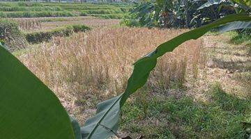 Gambar 1 Pasti Closing Di Jual Tanah View Sawah Lokasi Campuhan Singakerta Ubud Gianyar