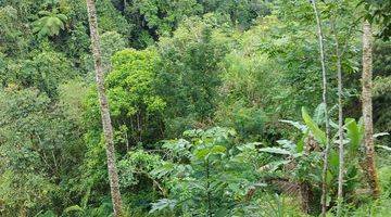 Gambar 1 Pasti Closung Di Jual Tanah View Hutan Lembah & Sungai Lokasi Taro Tegallalang Ubud Gianyar