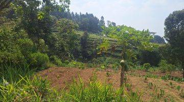 Gambar 5 Di Jual Tanah Cijeruk Best View 