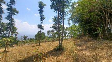 foto lainnya lahan perkebunan luas 4ha cilembu