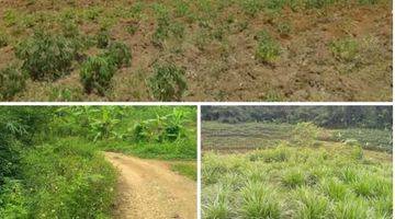 Gambar 2 Tanah 2,3 Ha Untuk Kebun Dan Peteranakan Di Gunungpati Semarang