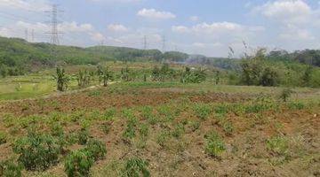 Gambar 1 Tanah 2,3 Ha Untuk Kebun Dan Peteranakan Di Gunungpati Semarang