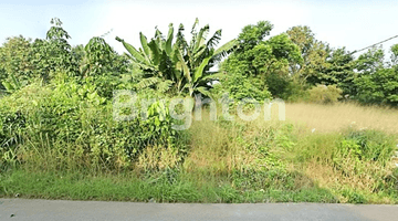 Gambar 1 Tanah Datar Murah Pinggir Jalan Gunung Sindur Dekat Pasar Parung Lebar Muka 40 m