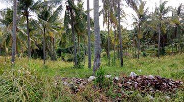 Gambar 3 Tanah Bulakan Cibeber Cocok Untuk Tempat Wisata