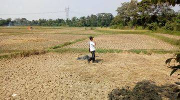 Gambar 2 Tanah Sawah Datar Pamarayan Dekat Sman 1