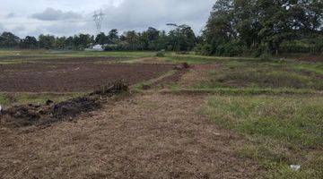 Gambar 3 Tanah Sawah Datar Pamarayan Dekat Sman 1