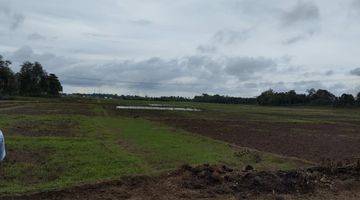 Gambar 4 Tanah Sawah Datar Pamarayan Dekat Sman 1