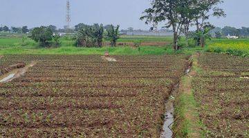 Gambar 5 Tanah Kebun Luas 2856 Dekat Jalam Utama Soreang Banjaran