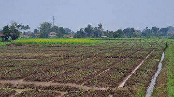 Gambar 1 Tanah Kebun Luas 2856 Dekat Jalam Utama Soreang Banjaran