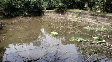 Gambar 2 Jalan Puri Lestari Raya Bojong, Lahan Pemancingan Luas 2.060 M2