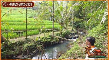 Gambar 3 Under Market Price Land For Sale 5,400 Sqm In Pupuan Tabanan