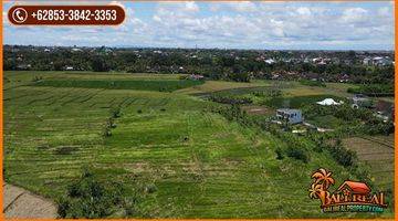 Gambar 4 8,000 M2 With Rice Fields And Mountain View In Kediri, Tabanan