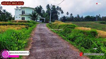 Gambar 5 5,300 M2 With Rice Fields, Jungle And Mountain View In Penebel