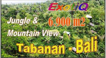 Gambar 1 6,900 M2 With Mountain And Jungle View In Penebel Tabanan