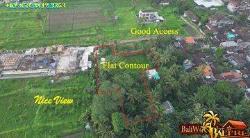 Gambar 3 1,600 M2 With Rice Fields And Jungle View In Ubud Pejeng