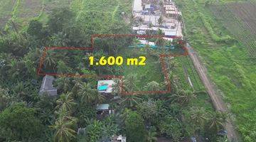 Gambar 1 1,600 M2 With Rice Fields And Jungle View In Ubud Pejeng