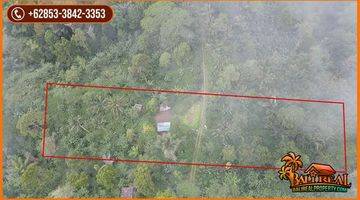 Gambar 3 6,900 M2 With Mountain And Jungle View In Penebel Tabanan