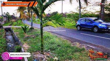 Gambar 5 Dijual Murah Tanah 9 Are Dekat Pantai Medewi Cocok Untuk Villa