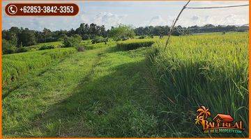 Gambar 4 Exotic Yet Affordable 72 Are Land For Sale In Selemadeg Timur