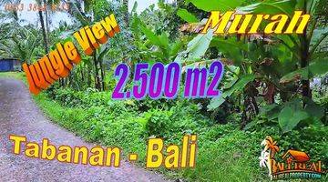 Gambar 1 2,500 M2 With Green Lush View In Selemadeg Timur Tabanan