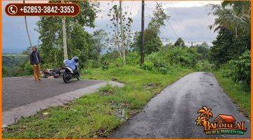 Gambar 5 Exotic Yet Affordable Land For Sale 200 Are In Penebel Tabanan