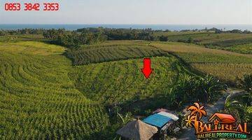 Gambar 1 2,700 M2 With Rice Fields, Ocean And Mountain View In Klecung